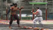 Virtua Fighter 5: Final Showdown - Tutorial Video #8
